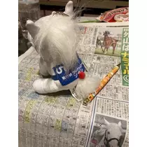夏樹 あや