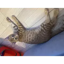しおり