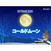 さや