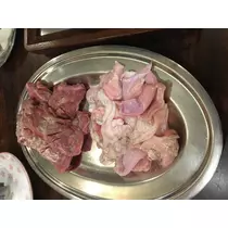 宝條 夏恋