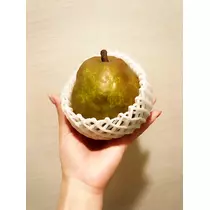 さくら