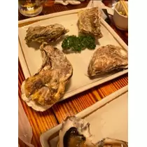 宝條 夏恋