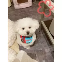 夏樹 あや