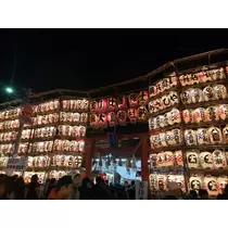 本城 椿