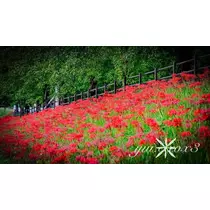 神崎　唯