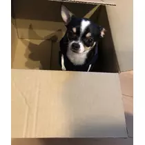 長瀬 純恋