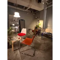 神崎 蘭