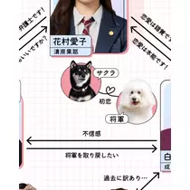 緑 四葉
