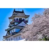 神崎　唯