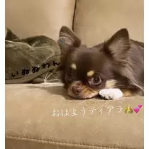 ありさ♡