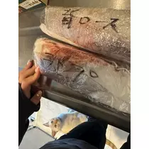 足立 はな