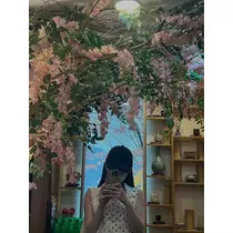 檀 れん