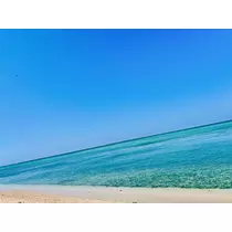 ゆかり