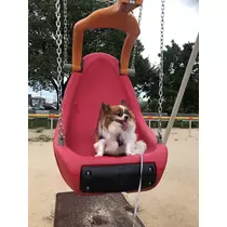 あいら