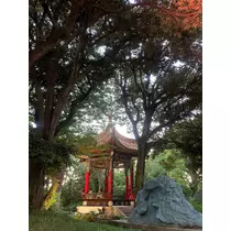はづき