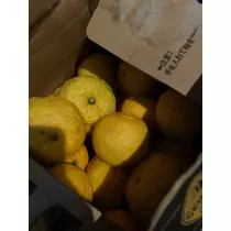 友美 ママ