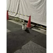 ちひろ