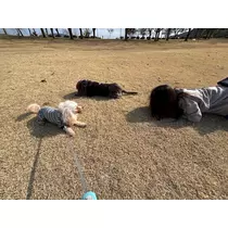 マイ