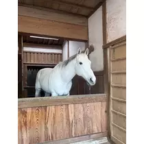 ミノリ