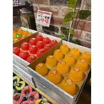片桐 さやか