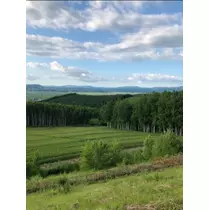 宝條 夏恋