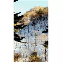 愛羽 仁美
