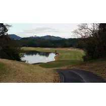 美穂