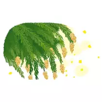 エミ （スタッフ）