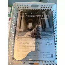 西園寺 ゆきみ