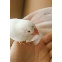 ちよママ