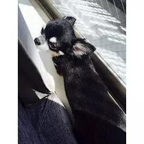 みあ