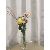 きょう
