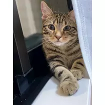 みき