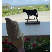 長瀬 純恋
