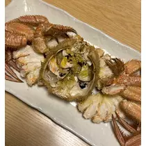 檀 れん