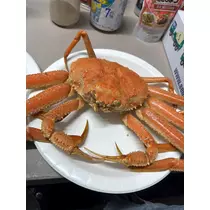 りえる