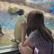 ななみ