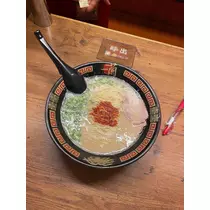 花咲 みらい