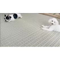桃瀬 百華