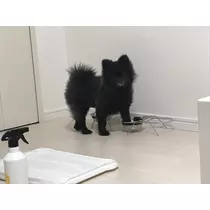 ティナ