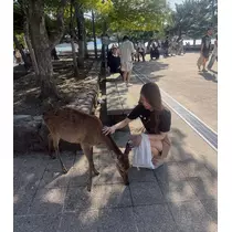 如月 ゆめ