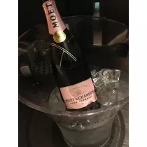 白石 愛莉
