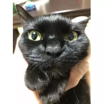 ゆう