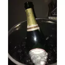 白石 愛莉