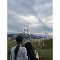 芹沢 莉瀬