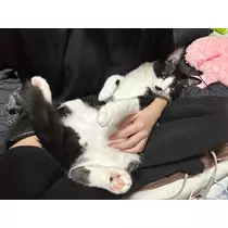 愛望
