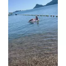 しほ