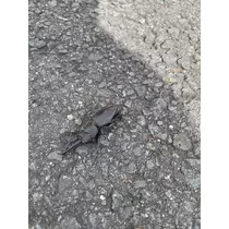あか