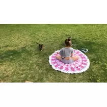 紗貴