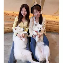 さえ